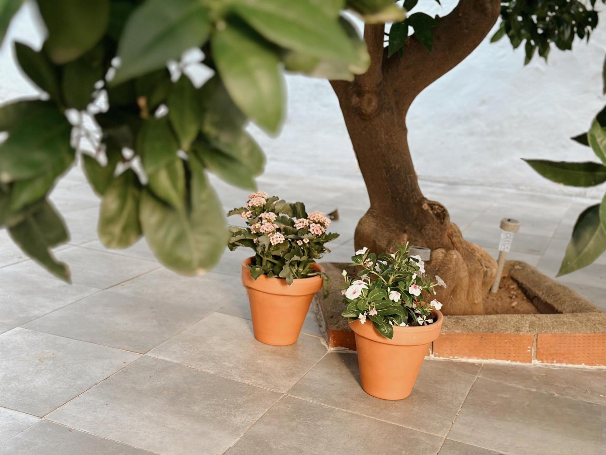Puebla Deluxe Holiday home *